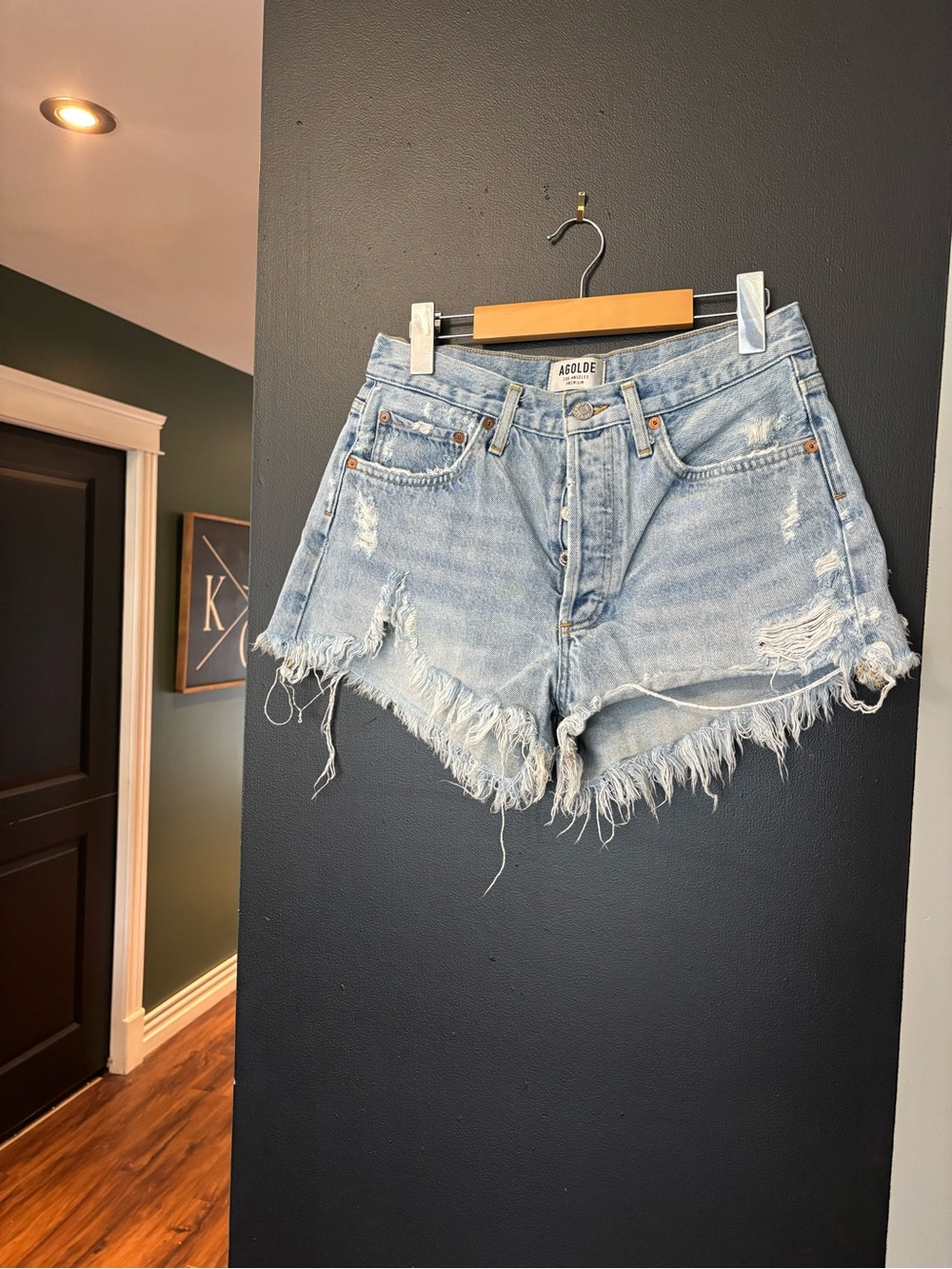 🏔️ AGOLDE shorts